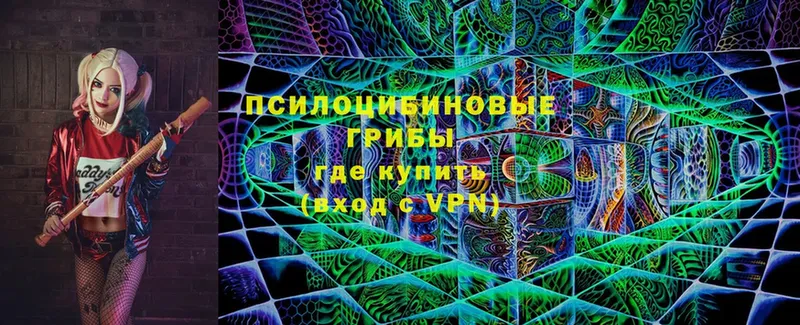 Псилоцибиновые грибы мухоморы  продажа наркотиков  Чадан 